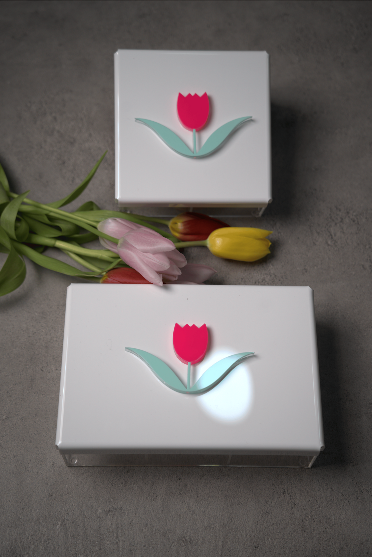 Elegant plexi boxes filled with naturally sweet, healthy stuffed dates & healthy chocolate crispy bars (available in 2 sizes)